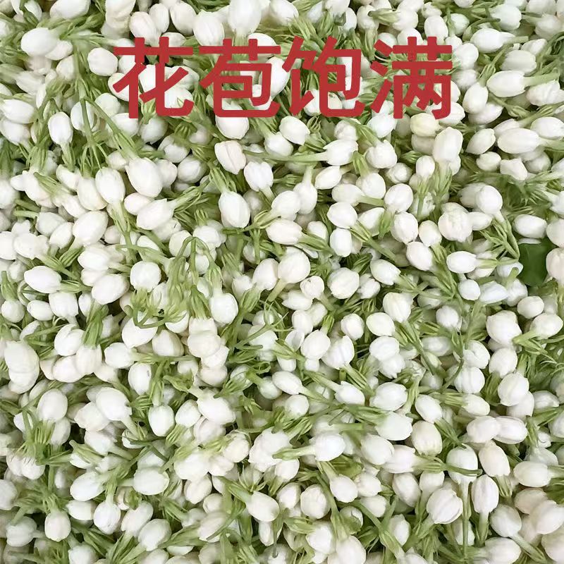 Nuovi Fiori di Gelsomino Natur - Soap Making Raw Material recensione e prezzo